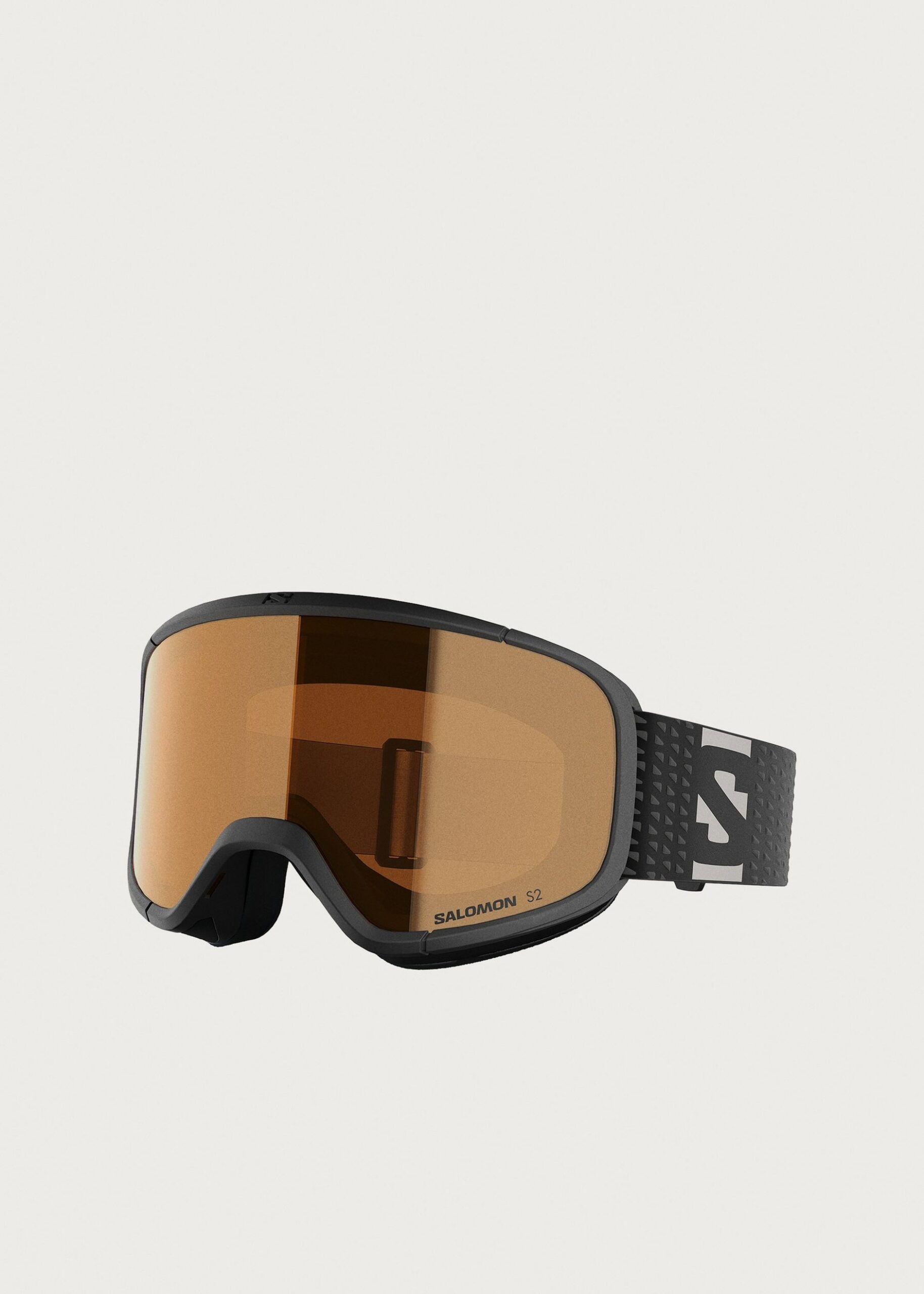 Salomon S/View Access Ski Goggles